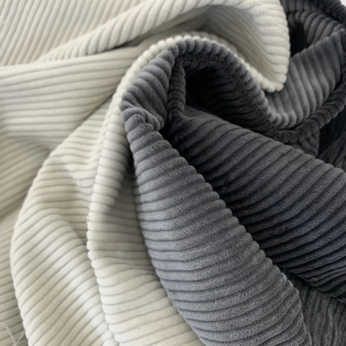 画像6: 【マルシャン限定】5ウェル太畝コーデュロイ　ウォータムレッド (6)