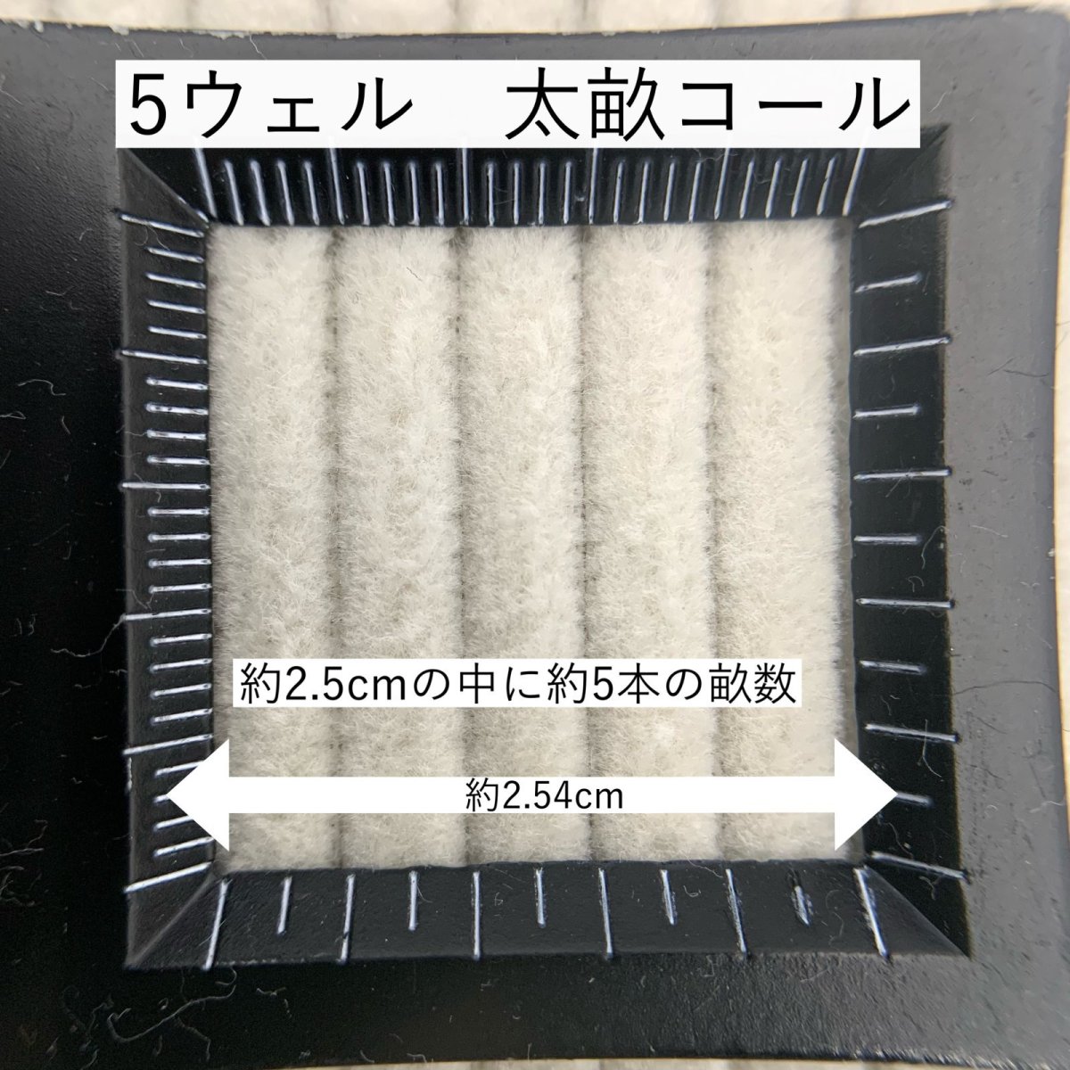 画像5: 【マルシャン限定】5ウェル太畝コーデュロイ　ウォータムレッド (5)