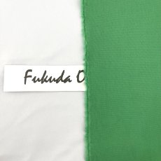 画像4: 【マルシャン限定】1795コットン200双双オックス　アップルグリーン (4)