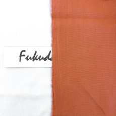 画像4: 【マルシャン限定】2011(2)コットンオックス　オレンジ (4)