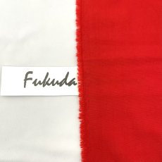 画像4: 【マルシャン限定】2011コットンオックス　トマトレッド (4)