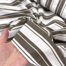 画像11: NO.171 先染めボーダーストライプ　twill 　ブラウンホワイト (11)