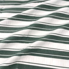 画像9: NO.171 先染めボーダーストライプ　twill 　グリーンホワイト (9)