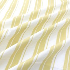 画像1: NO.171 先染めボーダーストライプ　twill イエローホワイト (1)