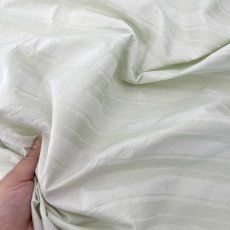 画像6: NO.172　先染めボーダーストライプ　twill 　ライトグリーン (6)