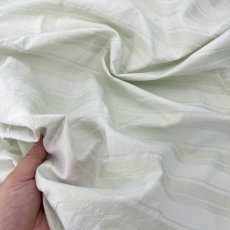 画像8: NO.172　先染めボーダーストライプ　twill 　ライトグリーン (8)