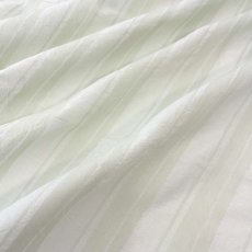 画像7: NO.172　先染めボーダーストライプ　twill 　ライトグリーン (7)