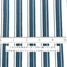 画像4: NO.171 先染めボーダーストライプ　twill 　グリーンホワイト (4)