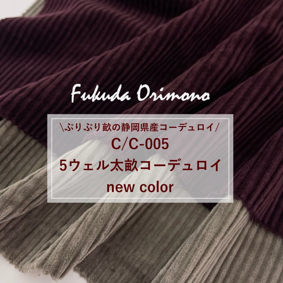 画像12: 【マルシャン限定】5ウェル太畝コーデュロイ　ウォータムレッド (12)