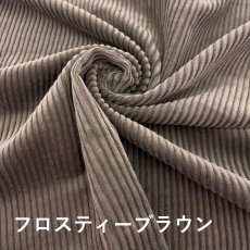 画像3: C/C-005 　5ウェル太畝コーデュロイ　ソフト　brown color (3)