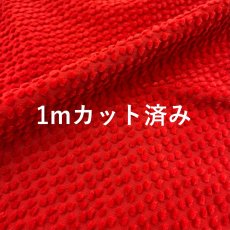 画像1: 【マルシャン限定　1ｍカット済み】BECCOコーデュロイ　ウォータムレッド (1)