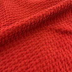 画像2: 【マルシャン限定　1ｍカット済み】BECCOコーデュロイ　ウォータムレッド (2)