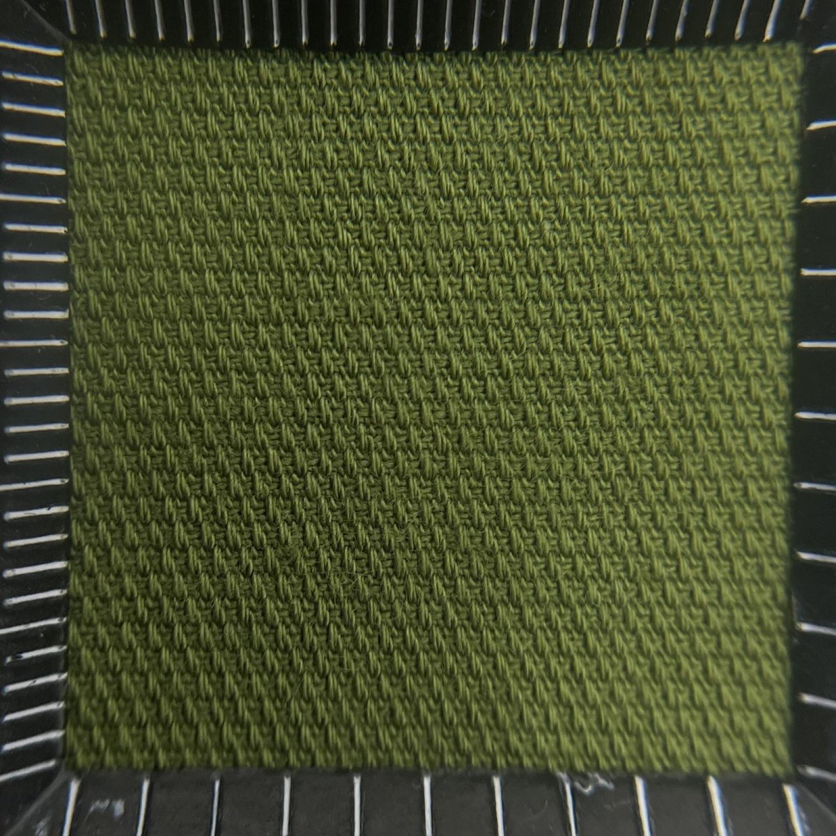 画像5: 【マルシャン限定】ロイヤルオックス中厚　ピスタチオ (5)