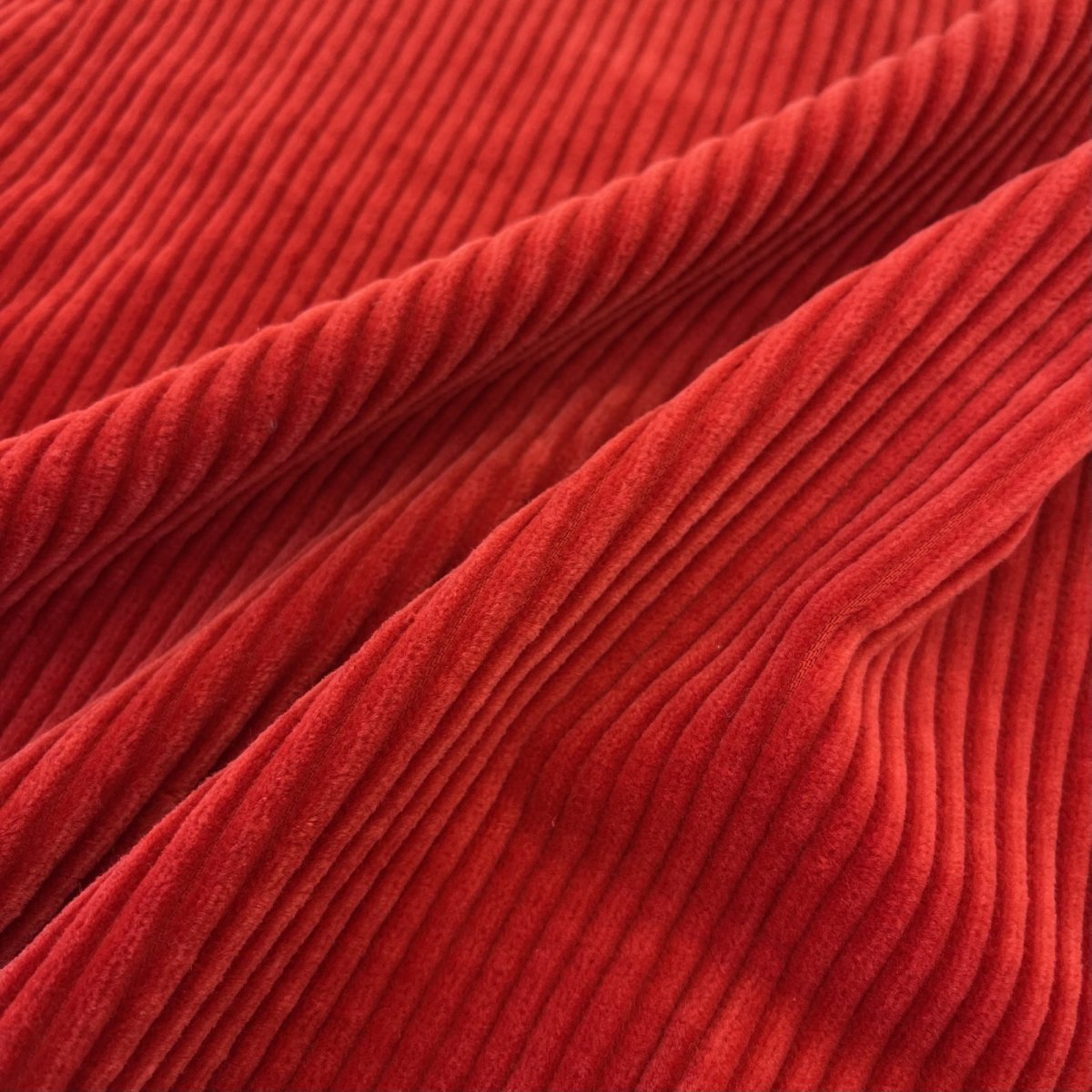 画像4: 【マルシャン限定】5ウェル太畝コーデュロイ　ウォータムレッド (4)