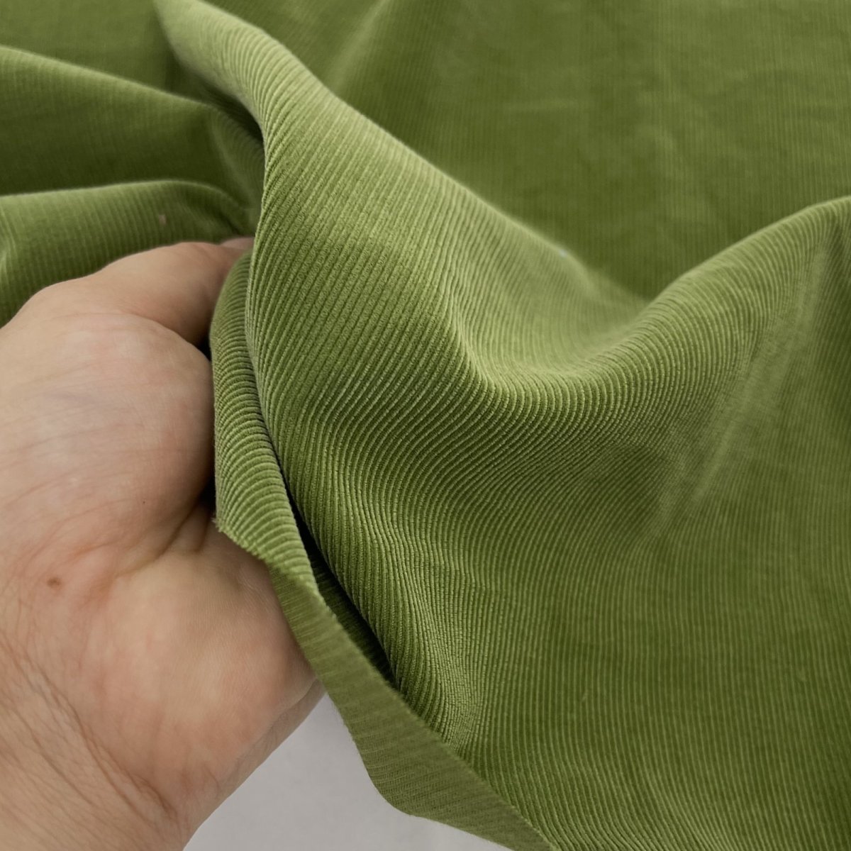 画像8: 【マルシャン限定】21ウェル細畝ライトコーデュロイ　 (8)