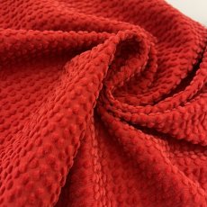 画像4: 【マルシャン限定　1ｍカット済み】BECCOコーデュロイ　ウォータムレッド (4)