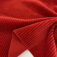 画像3: 【マルシャン限定】5ウェル太畝コーデュロイ　ウォータムレッド (3)