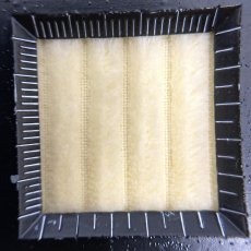 画像3: 【マルシャン限定】4ウェル太畝コーデュロイ　バターイエロー (3)