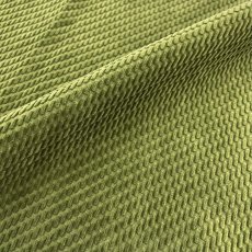 画像1: 【マルシャン限定2ｍまで】BECCOコーデュロイ　ピスタチオ (1)