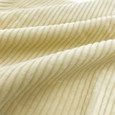 画像5: 【マルシャン限定】4ウェル太畝コーデュロイ　バターイエロー (5)