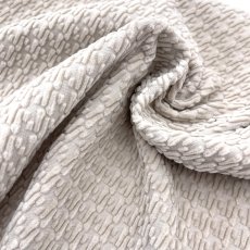 画像5: 【マルシャン限定2ｍまで】BECCOコーデュロイ　ウォームベージュ (5)